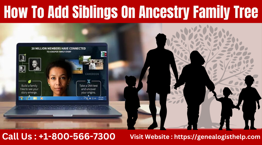 How To Add Siblings On Ancestry Family Tree
